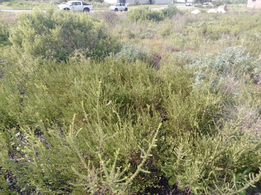 Commercial Property for Sale in C Place Eastern Cape